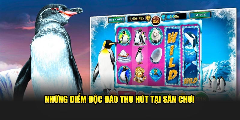 Những điểm độc đáo thu hút tại sân chơi