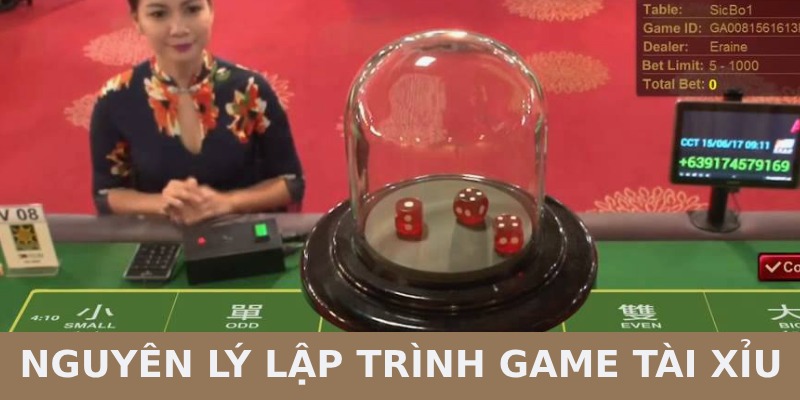 Cách lập trình game Tài Xỉu được dựa trên kết quả 3 viên xúc xắc ngẫu nhiên